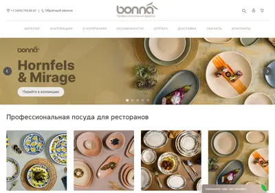 Снимок главной страницы bonna-russia.ru