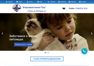 Снимок главной страницы balu62.ru