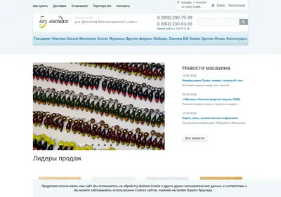 Снимок главной страницы beznasadki.ru