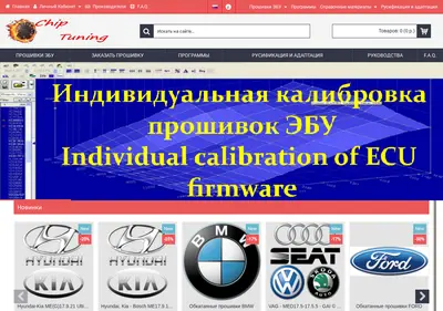 Снимок главной страницы chiptunecu.ru