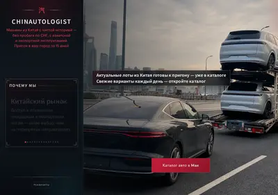 Снимок главной страницы chinautologist.ru