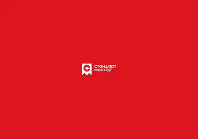 Снимок главной страницы 1standartmaster.ru