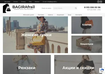 Снимок главной страницы bagira48.ru