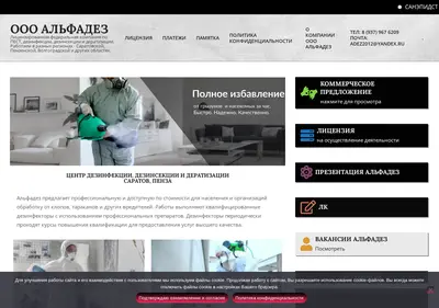 Снимок главной страницы alphadez.ru