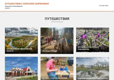 Снимок главной страницы alzov.ru