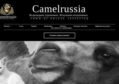 Снимок главной страницы camelrussia.ru
