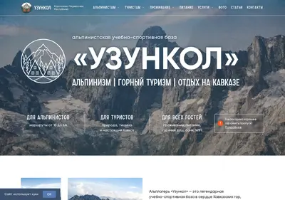 Снимок главной страницы alpuzunkol.ru