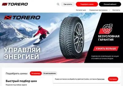 Снимок главной страницы torero-tire.su