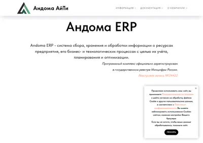 Снимок главной страницы andoma-it.ru