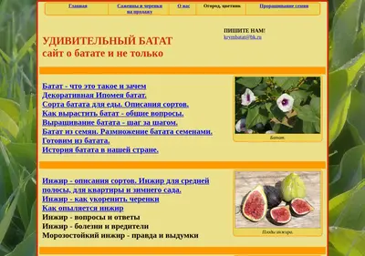 Снимок главной страницы batat.su