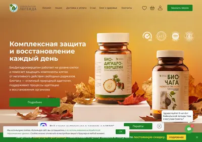 Снимок главной страницы baikal-shop.ru
