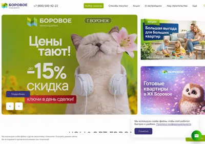 Снимок главной страницы borovoe36.ru