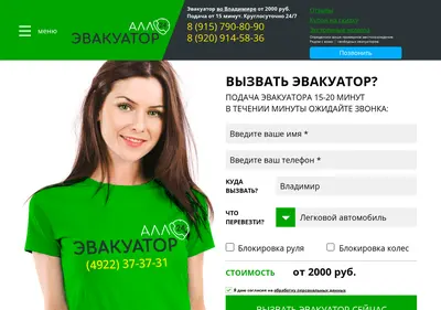 Снимок главной страницы allo-evakuator33.ru