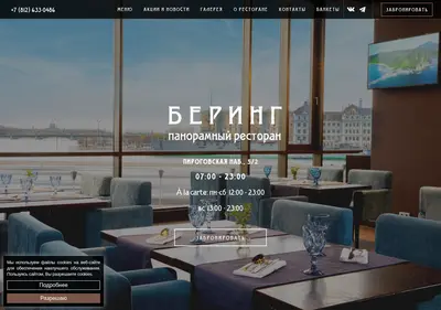 Снимок главной страницы bering-spb.ru
