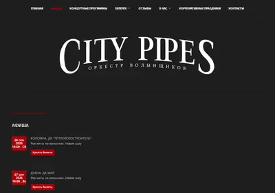 Снимок главной страницы citypipes.ru