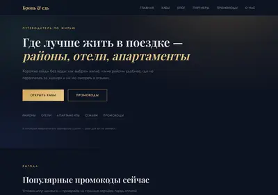 Снимок главной страницы bron-i-ed.ru