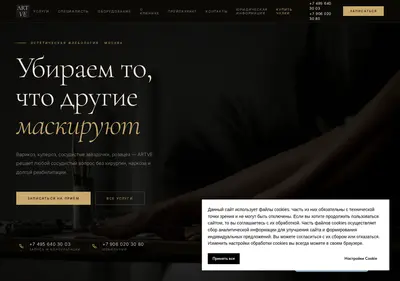 Снимок главной страницы artve.ru
