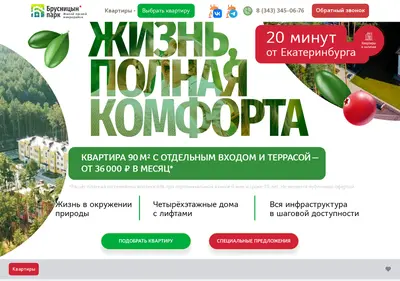 Снимок главной страницы brpark.ru