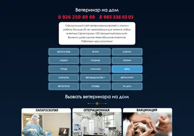 Снимок главной страницы vetuslugi.su
