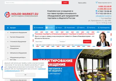 Снимок главной страницы holod-market.su