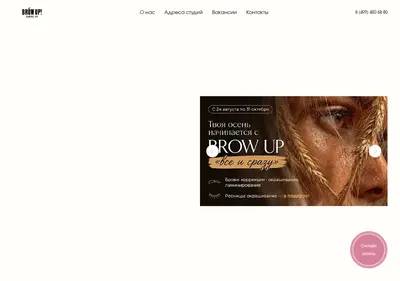 Снимок главной страницы browup.ru