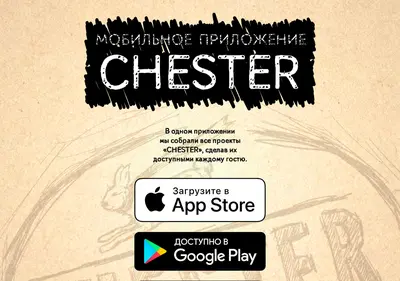 Снимок главной страницы chesterapp.ru