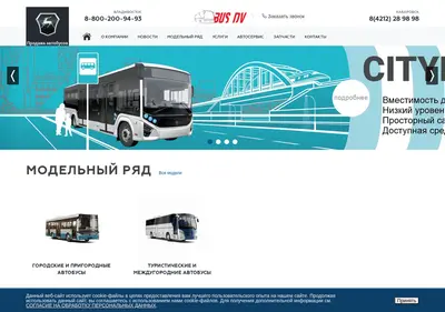 Снимок главной страницы busdv.ru