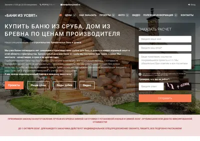 Снимок главной страницы bani-pskov.ru