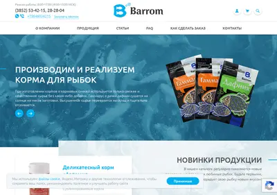 Снимок главной страницы barrom.ru