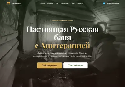 Снимок главной страницы apibanya.ru