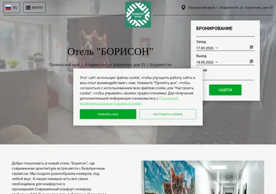 Снимок главной страницы borisonhotel.ru