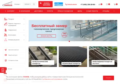 Снимок главной страницы pandus.su