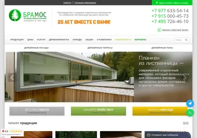 Снимок главной страницы bramos.ru