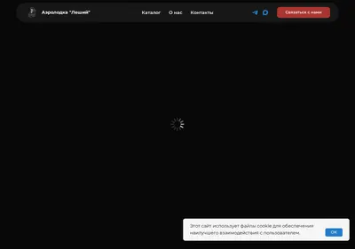 Снимок главной страницы aerolodka-leshiy.ru