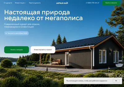 Снимок главной страницы arakai.ru