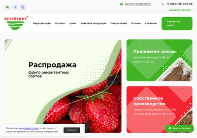 Снимок главной страницы bestberry01.ru