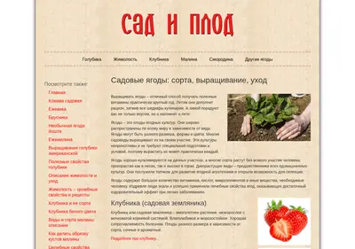 Снимок главной страницы berrka.ru