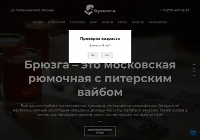 Снимок главной страницы bruzga-msk.ru