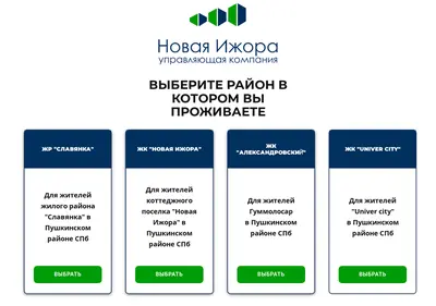 Снимок главной страницы izora.spb.ru