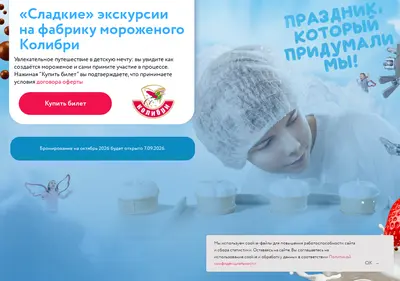 Снимок главной страницы colibriexcurs.ru