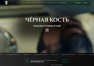 Снимок главной страницы blackbone.ru