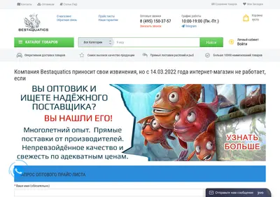 Снимок главной страницы bestaquatics.ru