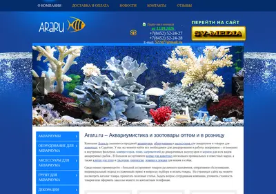Снимок главной страницы araru.ru