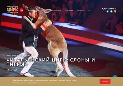 Снимок главной страницы circus-nnovgorod.ru
