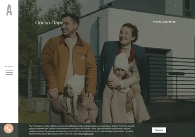 Снимок главной страницы avirondevelopment.ru