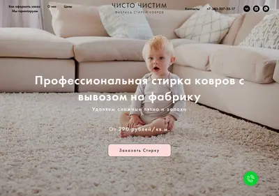 Снимок главной страницы chisto-chistim.ru