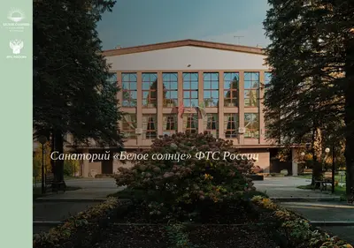 Снимок главной страницы beloesolncefts.ru