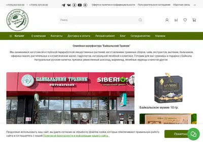 Снимок главной страницы bk-travnik.ru
