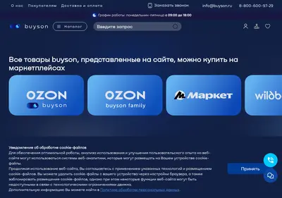 Снимок главной страницы buyson.ru