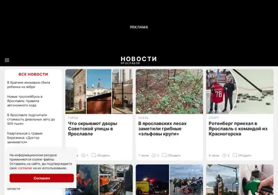 Снимок главной страницы 176.ru